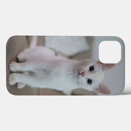 Amerikaanse witte kustvis Case-Mate iPhone case (Achterkant (horizontaal))