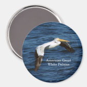 Amerikaanse witte pelicaanse magneet (Voorkant / Achterkant)