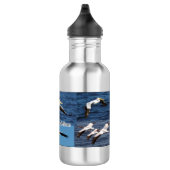 Amerikaanse witte pelicaanse waterfles (Rechts)