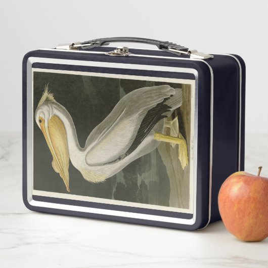 Amerikaanse witte pelikaan, Amerikaanse vogelvogel (In situ)