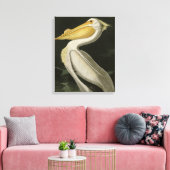 Amerikaanse witte pelikaan, Amerikaanse vogelvogel Canvas Afdruk (Insitu (Woonkamer))