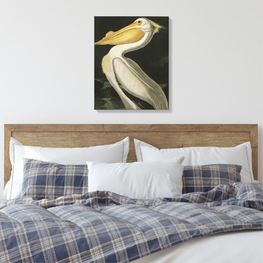 Amerikaanse witte pelikaan, Amerikaanse vogelvogel Canvas Afdruk (Insitu (Slaapkamer))