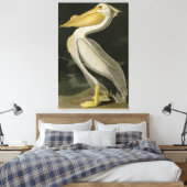 Amerikaanse witte pelikaan, Amerikaanse vogelvogel Canvas Afdruk (Insitu (Slaapkamer))
