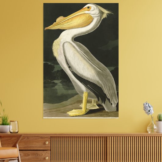 Amerikaanse witte pelikaan, Amerikaanse vogelvogel Canvas Afdruk (Insitu (Woonkamer))