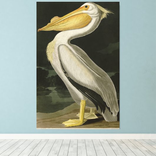 Amerikaanse witte pelikaan, Amerikaanse vogelvogel Canvas Afdruk (Insitu (Houten vloer))