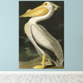 Amerikaanse witte pelikaan, Amerikaanse vogelvogel Canvas Afdruk (Insitu (Houten vloer))