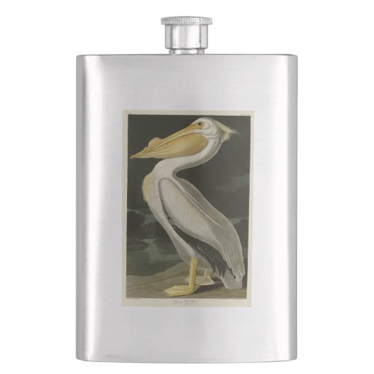 Amerikaanse witte pelikaan, Amerikaanse vogelvogel Flacon (Voorkant)