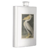 Amerikaanse witte pelikaan, Amerikaanse vogelvogel Flacon (Rechts)