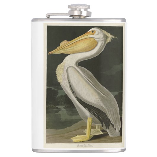 Amerikaanse witte pelikaan, Amerikaanse vogelvogel Heupfles (Voorkant)