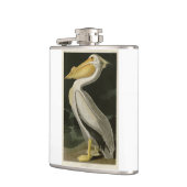 Amerikaanse witte pelikaan, Amerikaanse vogelvogel Heupfles (Links)