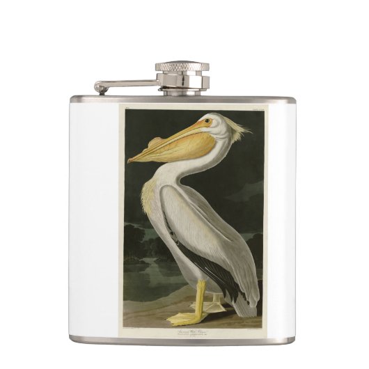 Amerikaanse witte pelikaan, Amerikaanse vogelvogel Heupfles (Voorkant)
