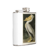 Amerikaanse witte pelikaan, Amerikaanse vogelvogel Heupfles (Rechts)