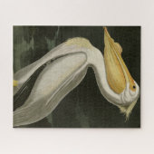 Amerikaanse witte pelikaan, Amerikaanse vogelvogel Legpuzzel (Horizontaal)
