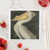 Amerikaanse witte pelikaan, Amerikaanse vogelvogel Servet (Insitu)