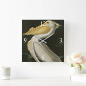 Amerikaanse witte pelikaan, Amerikaanse vogelvogel Vierkante Klok (Huis)