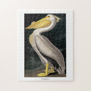 Amerikaanse witte pelikaan John James Audubon 11 x Legpuzzel