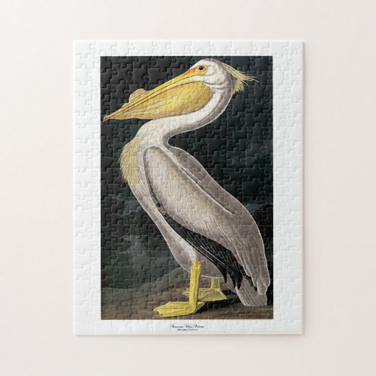 Amerikaanse witte pelikaan John James Audubon 11 x Legpuzzel (Verticaal)