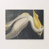 Amerikaanse witte pelikaan van Amerikaanse vogels Legpuzzel (Horizontaal)