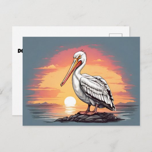 Amerikaanse witte pelikaan zonsondergang briefkaart (Voorkant / Achterkant)
