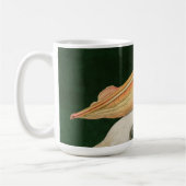 Amerikaanse witte pelikaanse vogels Audubon Koffiemok (Links)