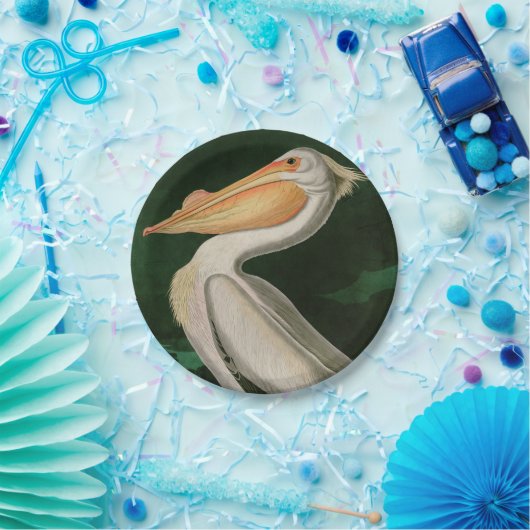 Amerikaanse witte pelikaanse vogels Audubon Papieren Bordje (Feest)