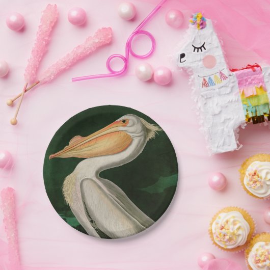 Amerikaanse witte pelikaanse vogels Audubon Papieren Bordje (Feest)