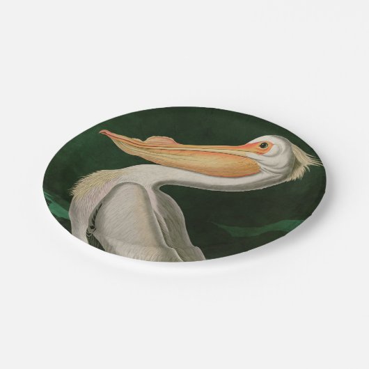 Amerikaanse witte pelikaanse vogels Audubon Papieren Bordje (Gekanteld)