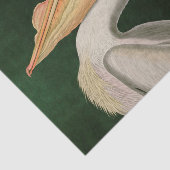 Amerikaanse witte pelikaanse vogels Audubon Tissuepapier (Detail)