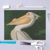 Amerikaanse witte pelikaanse vogels Audubon Tissuepapier (Craft)