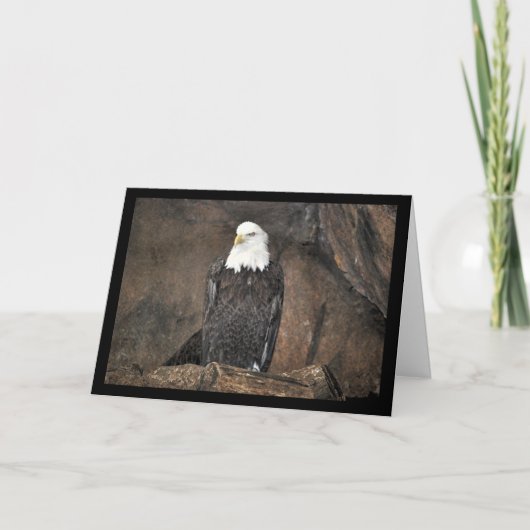 Amerikaanse Witte Zeearend Portret Kaart (Voorkant)