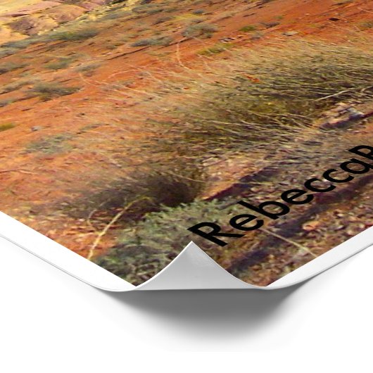 Amerikaanse woestijnlandschappen: Valley of Fire # Poster (Hoek)