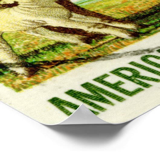 Amerikaanse wol-reendroschaap poster (Hoek)