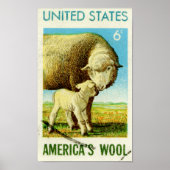 Amerikaanse wol-reendroschaap poster (Voorkant)