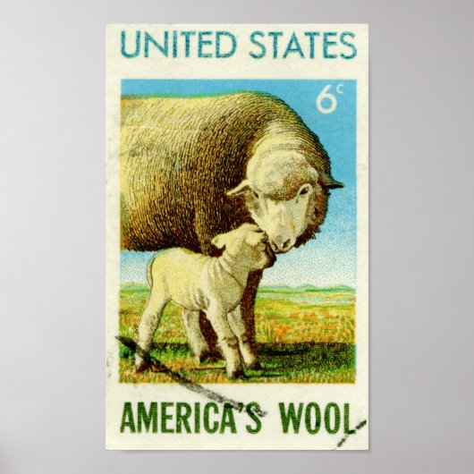 Amerikaanse wol-reendroschaap poster (Voorkant)
