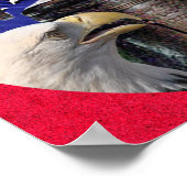Amerikaanse Zeearend, Bel en Vlag Poster (Hoek)