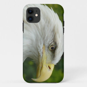 Amerikaanse Zeearend iPhone 11 Hoesje