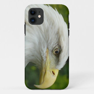 Amerikaanse Zeearend iPhone 11 Hoesje