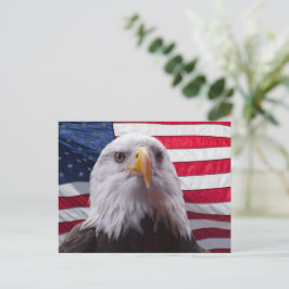 Amerikaanse zeearend en Amerikaanse vlag Briefkaart
