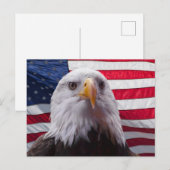 Amerikaanse zeearend en Amerikaanse vlag Briefkaart (Voorkant / Achterkant)