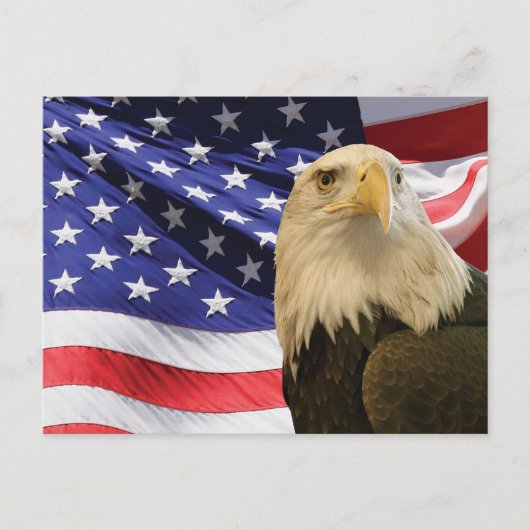 Amerikaanse Zeearend en Vlag Briefkaart (Voorkant)