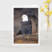 Amerikaanse zeearend in Nest Kaart (Gele Bloem)