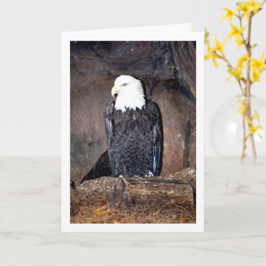 Amerikaanse Zeearend in Nest Kaart (Gele Bloem)