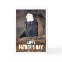 Amerikaanse Zeearend in Nest