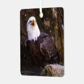 Amerikaanse zeearend metalen ornament (Voorkant links)