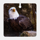 Amerikaanse zeearend metalen ornament (Achterkant)