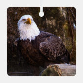 Amerikaanse zeearend metalen ornament (Voorkant)