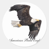 Amerikaanse zeearend ronde sticker (Voorkant)