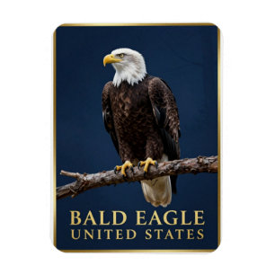 🦅 Amerikaanse Zeearend Wilde Natuur Magneet