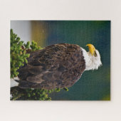Amerikaanse Zeearend Zit Legpuzzel (Horizontaal)