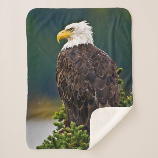 Amerikaanse Zeearend Zit Sherpa Deken (Voorkant)